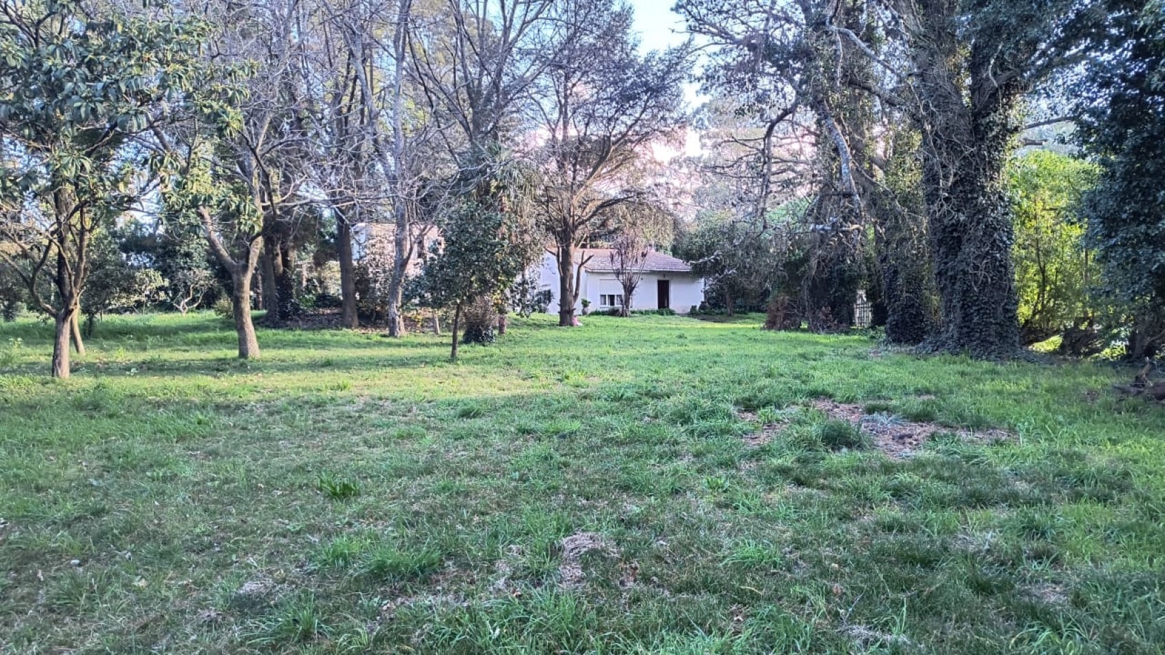 Terrenos Ruta 226 km19