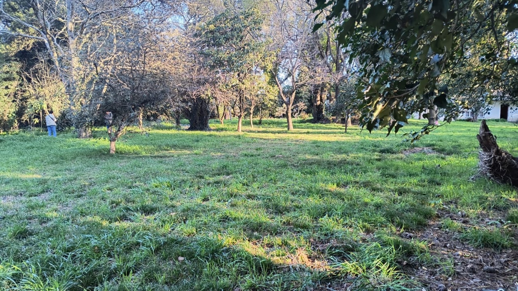 Terrenos Ruta 226 km19