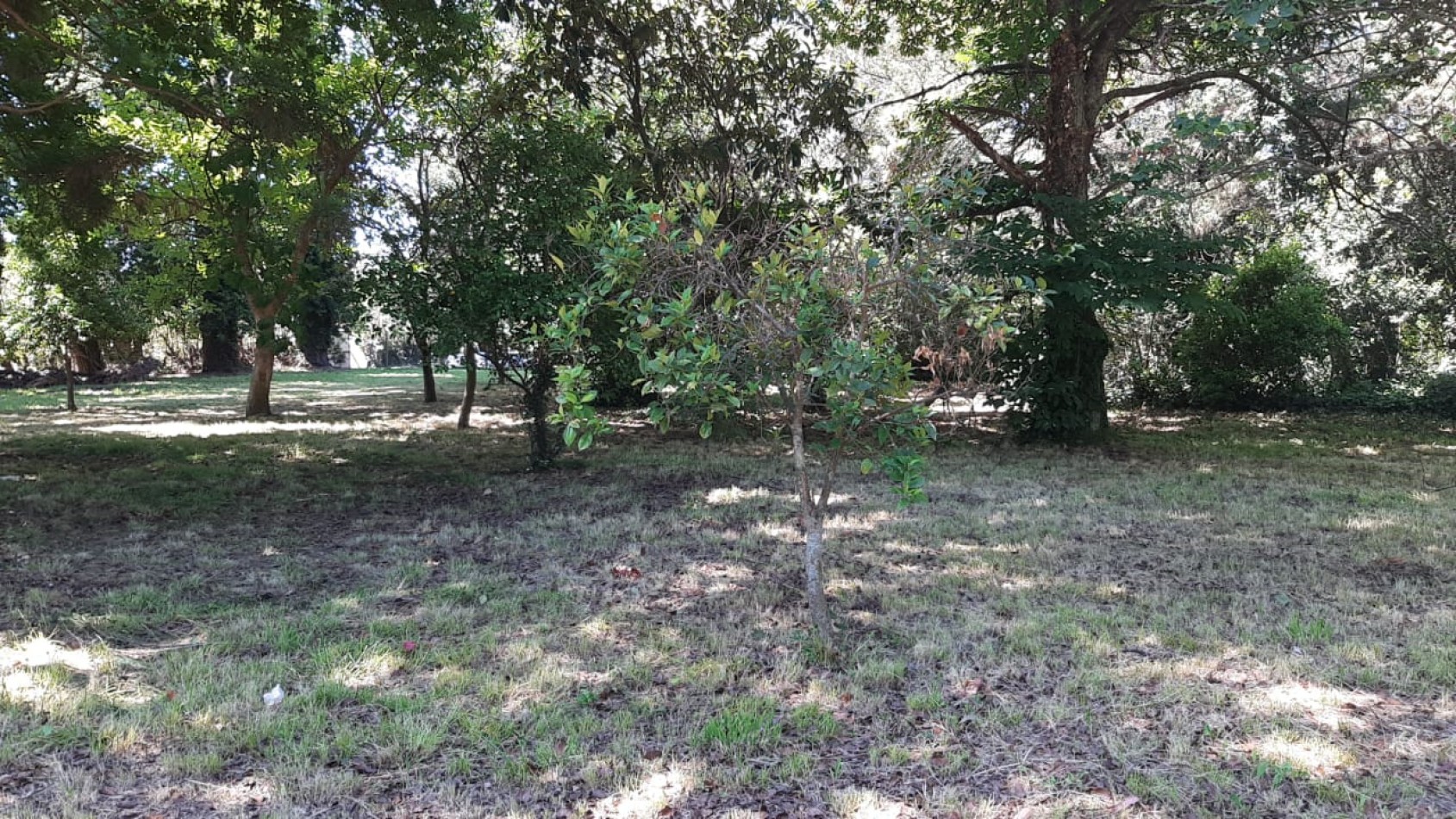 Terrenos Ruta 226 km19