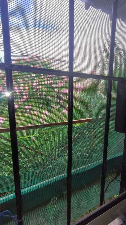 ALQUILER 24 MESES / CASA EN PH / BARRIO NUEVO GOLF