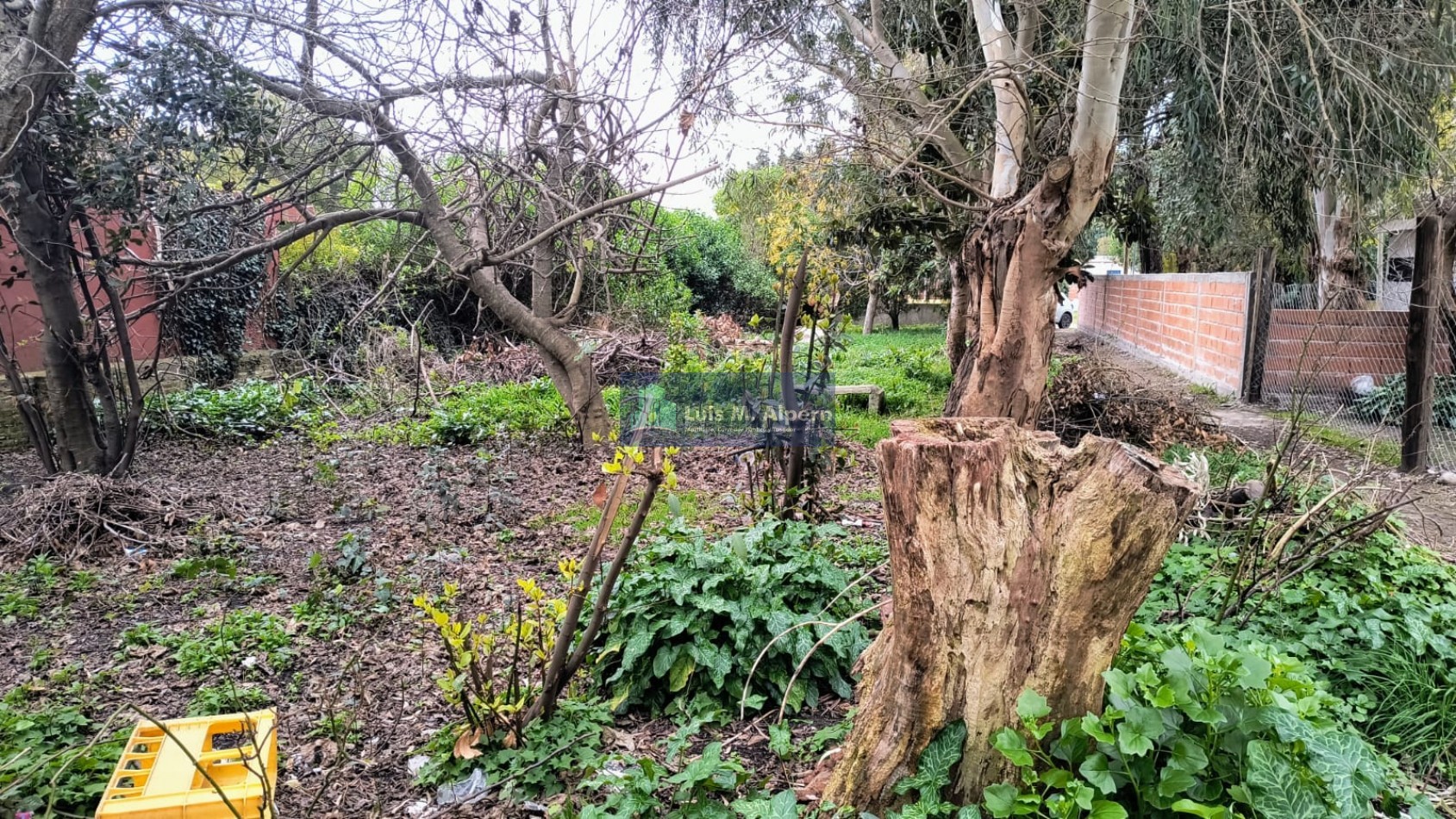 Galpones (dos) + departamentos (tres) VENTA 