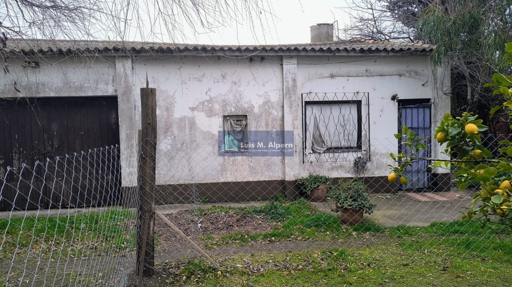 Galpones (dos) + departamentos (tres) VENTA 